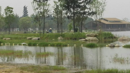 勝地公園 吳江最大的生態園，自然與人文的完美融合