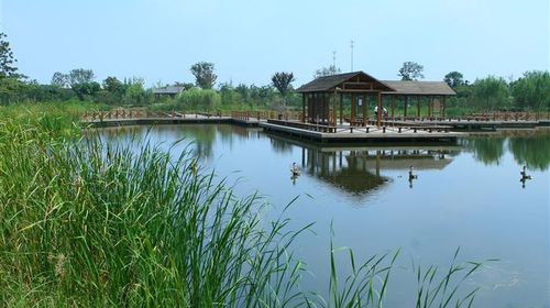 國慶樂游 上海出發，千燈古鎮與大唐生態園一日探幽之旅